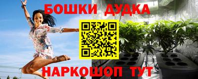 крисы Волжск